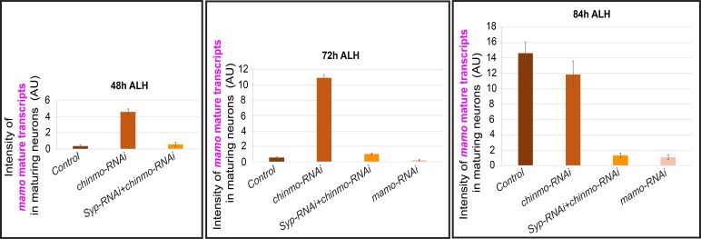 Figure 4—figure supplement 1.