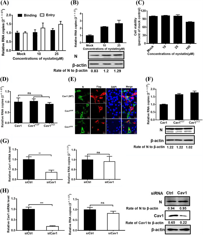 FIG 3