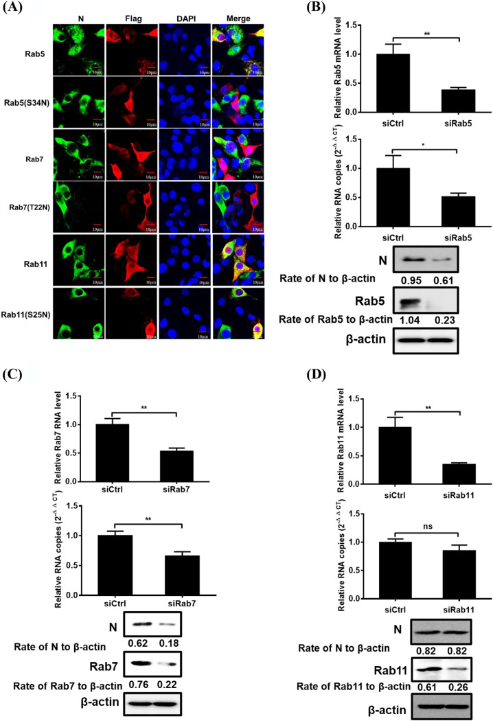 FIG 6