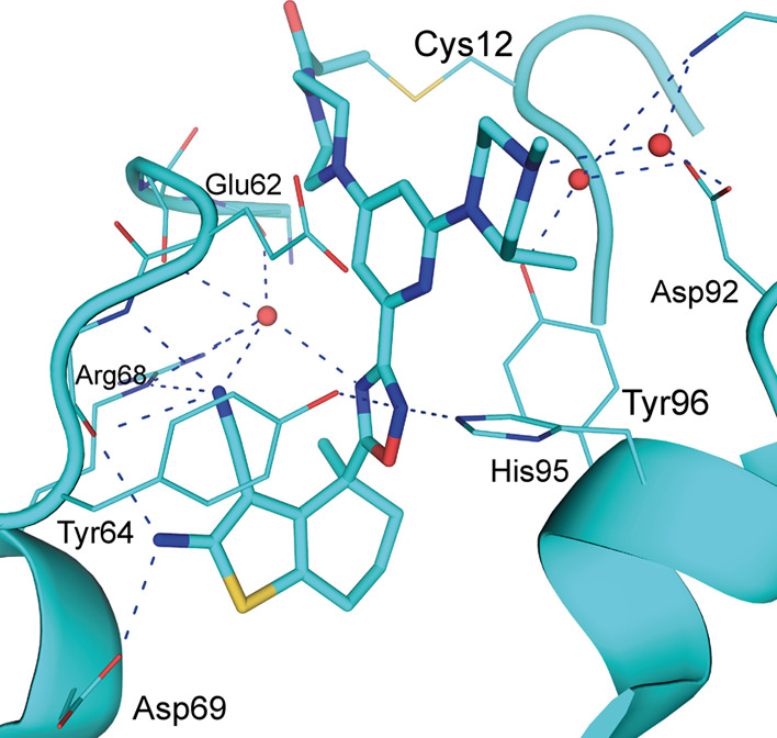 Figure 4