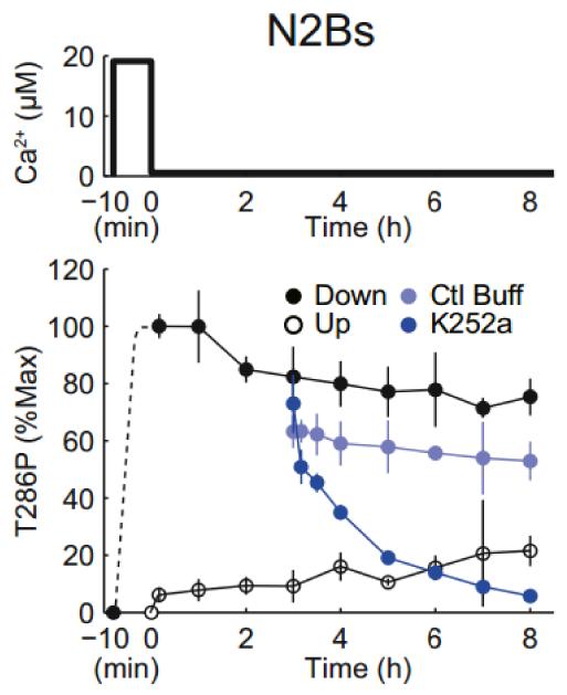 Fig.3