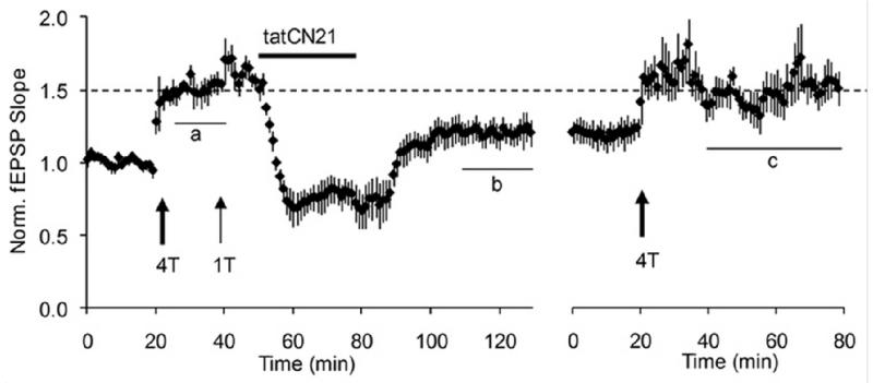 Fig.1