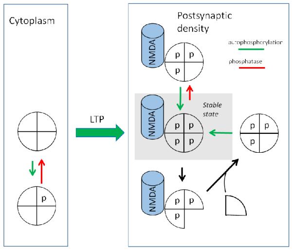 Fig.2