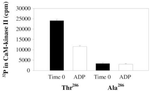 Fig.6