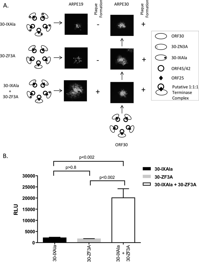 FIG 9