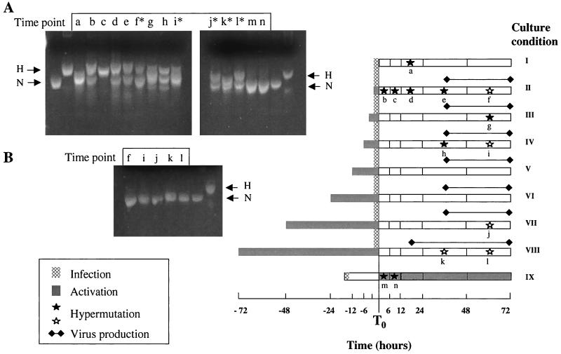 FIG. 6