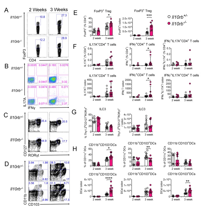 Figure 2—figure supplement 2.