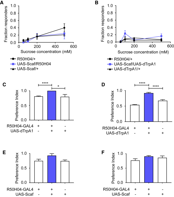 Figure 6