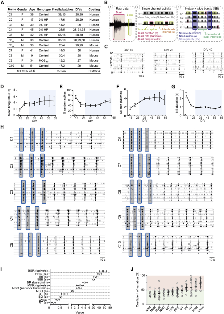 Figure 1