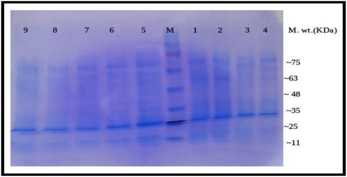 Fig. 9