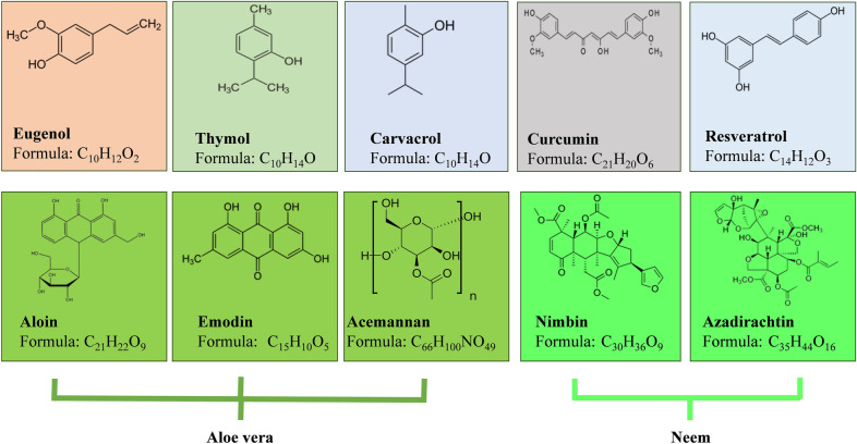 Fig. 2