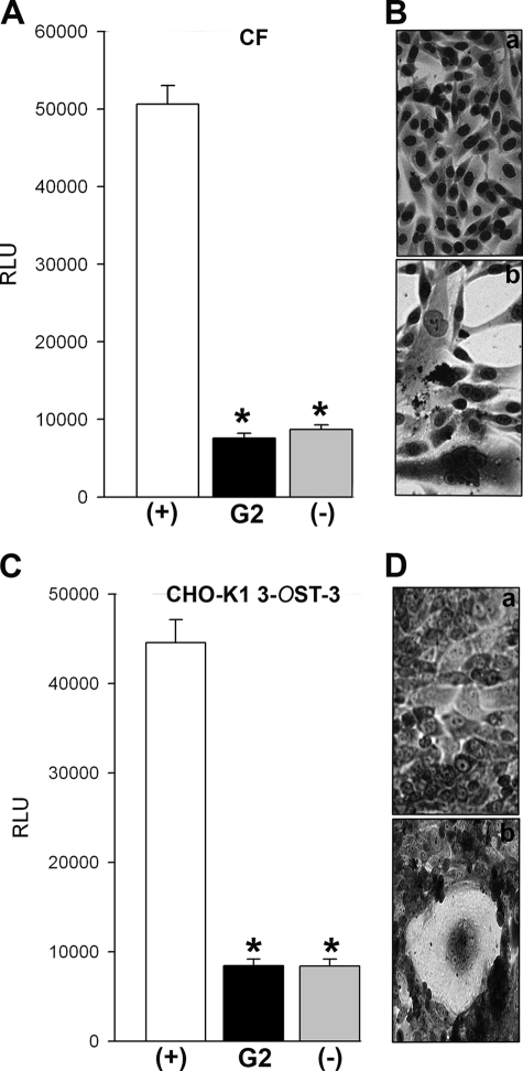 FIGURE 7.