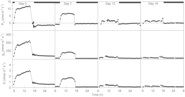 Figure 4.