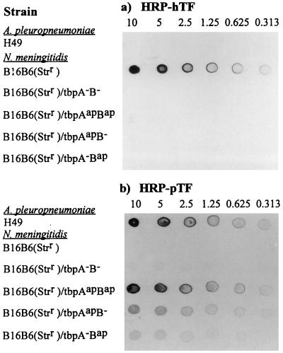 FIG. 4