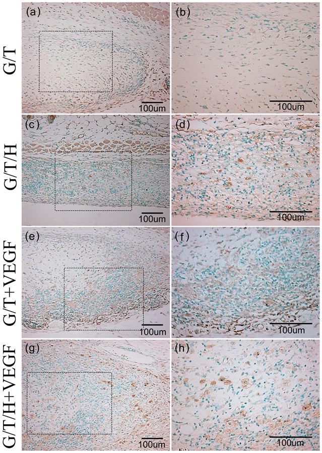 Fig 13