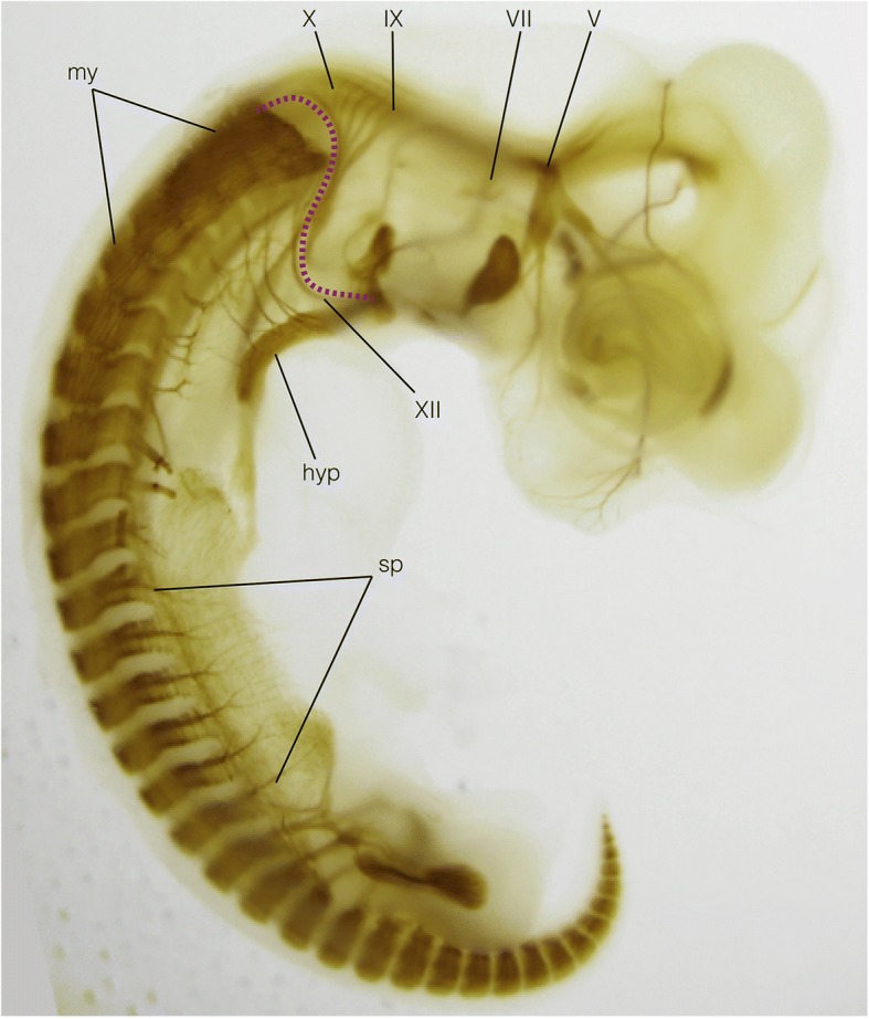 Fig. 7