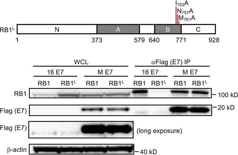 FIG 4