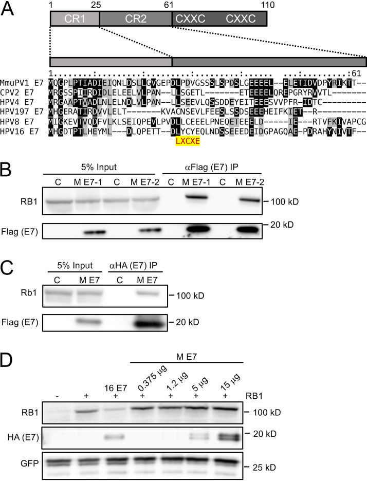 FIG 2