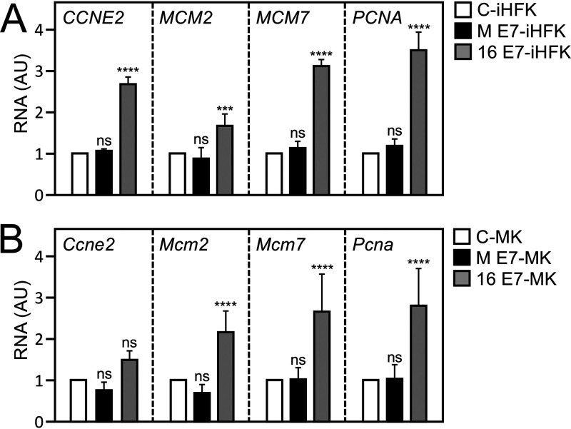 FIG 3