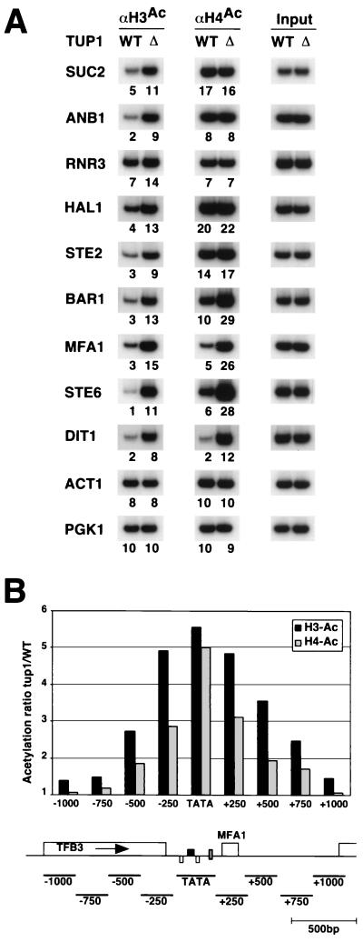 FIG. 8