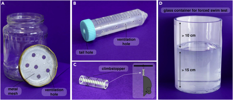 Figure 1