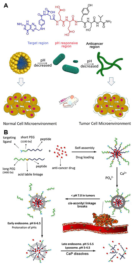 Figure 10.