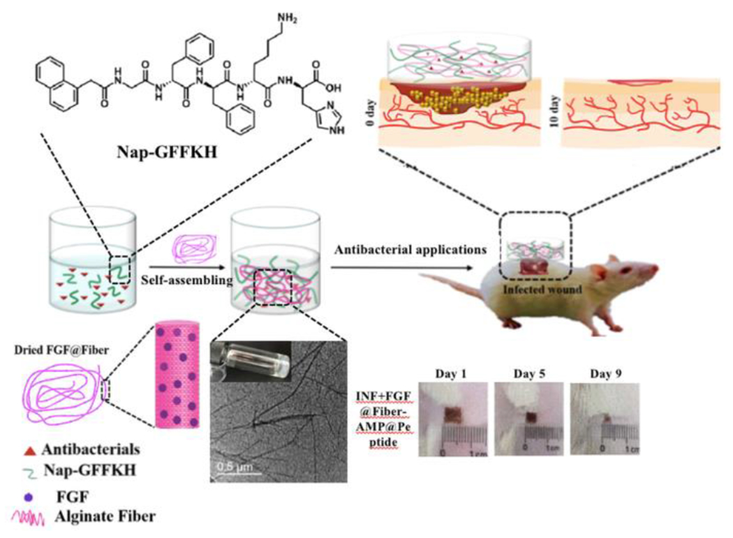 Figure 13.