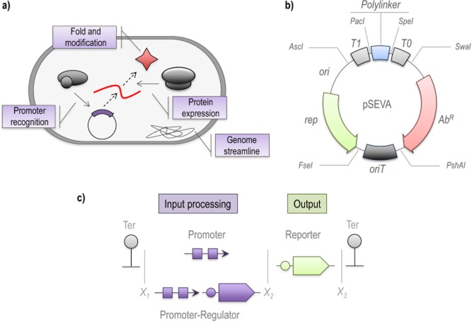 Fig 2