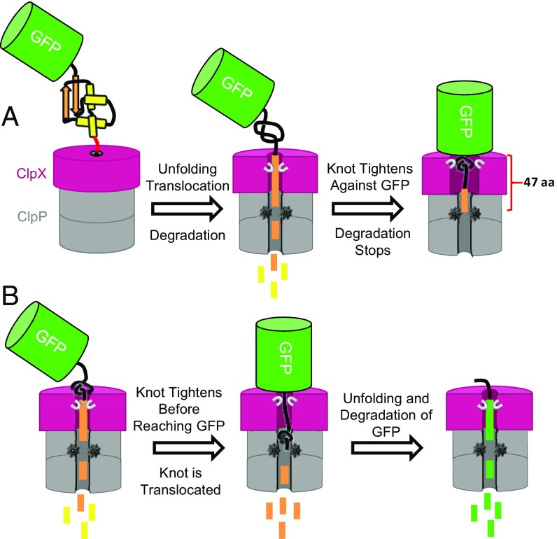 Fig. 3.