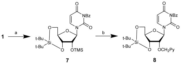 Scheme 3