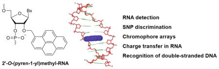 graphic file with name nihms920853u1.jpg