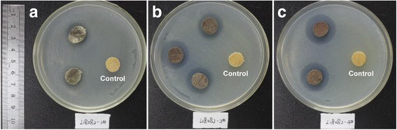 Fig. 9