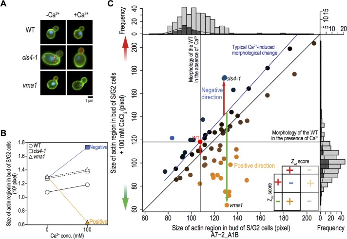 FIGURE 1: