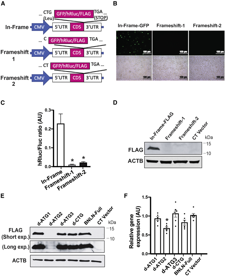 Figure 2