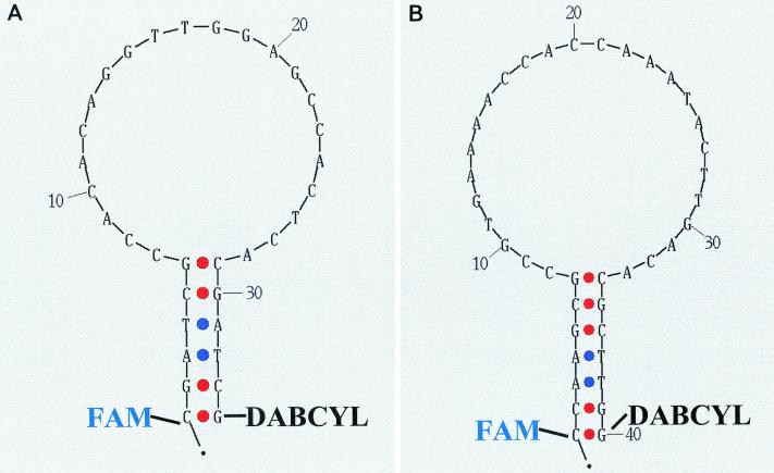 FIG. 1
