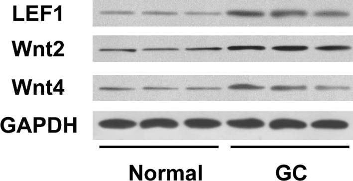 FIGURE 3