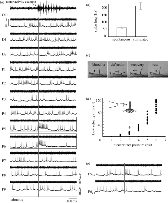 Figure 2.