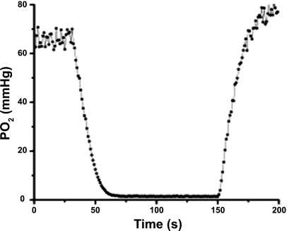 Fig. 5.