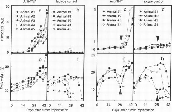 graphic file with name pnas01059-0037-a.jpg