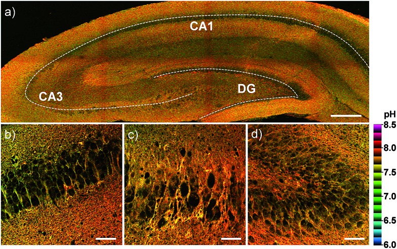 Fig. 8