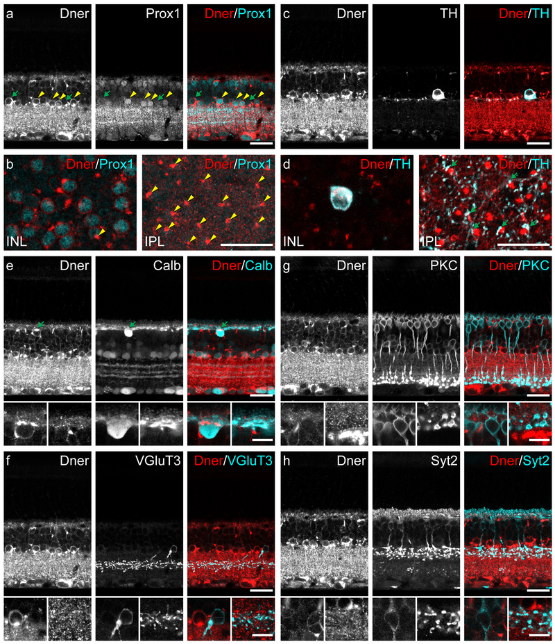 Figure 3: