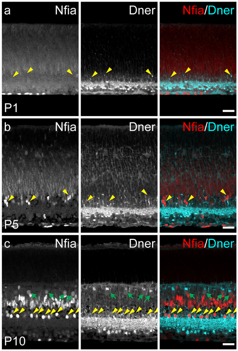 Figure 6: