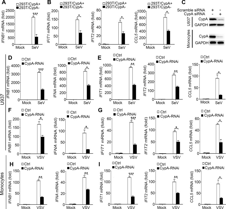 Figure 1—figure supplement 2.