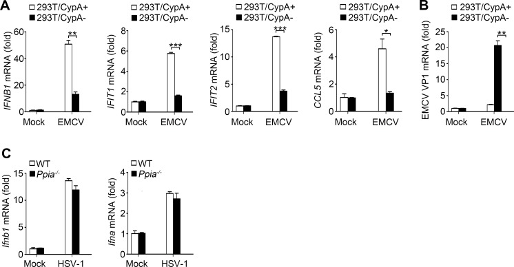 Figure 1—figure supplement 3.