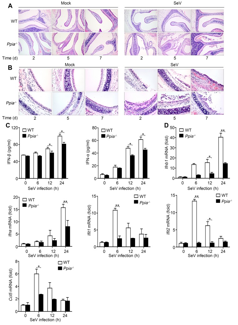 Figure 2—figure supplement 1.