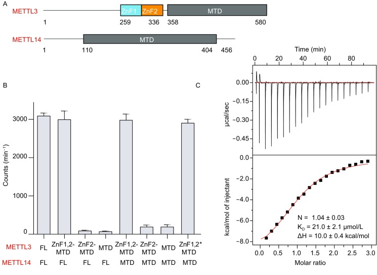 Figure 1