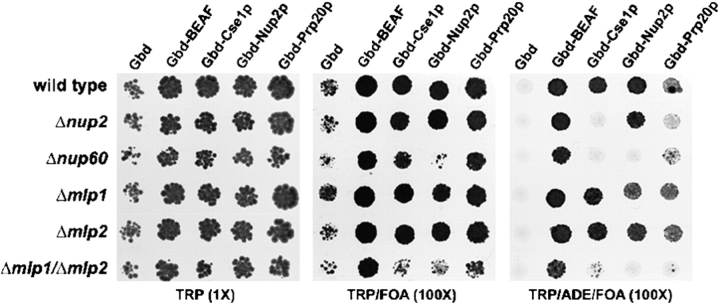 Figure 2.