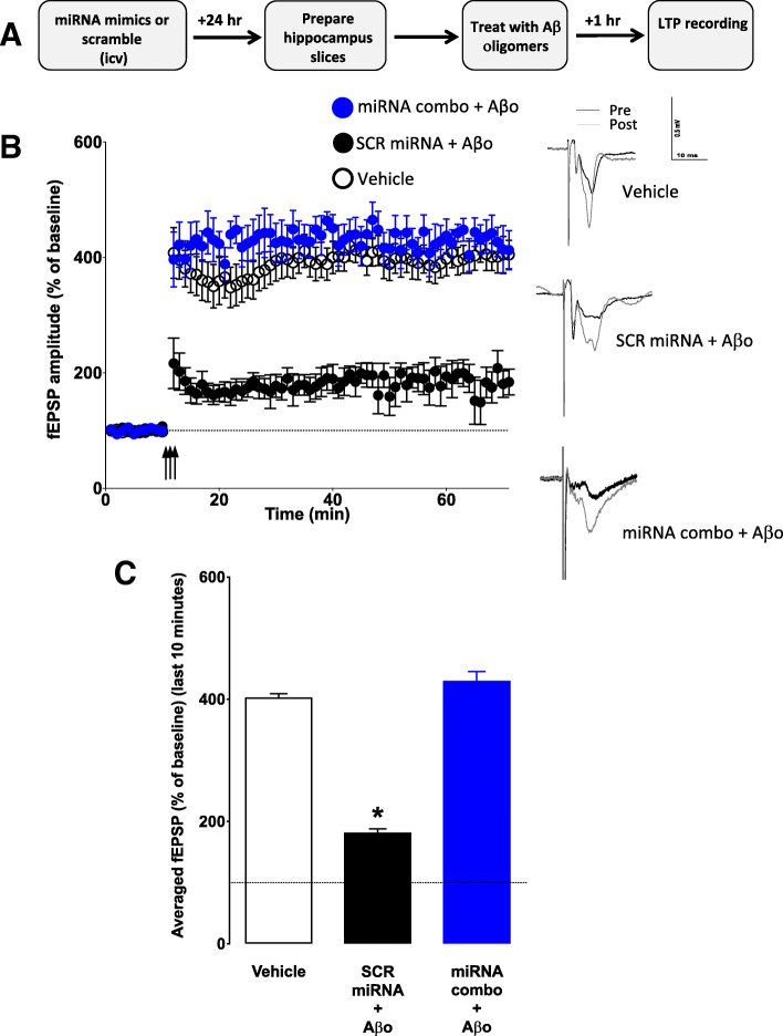 Fig. 11