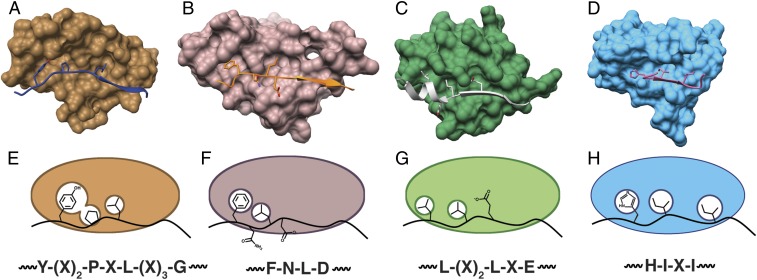 Fig. 5.