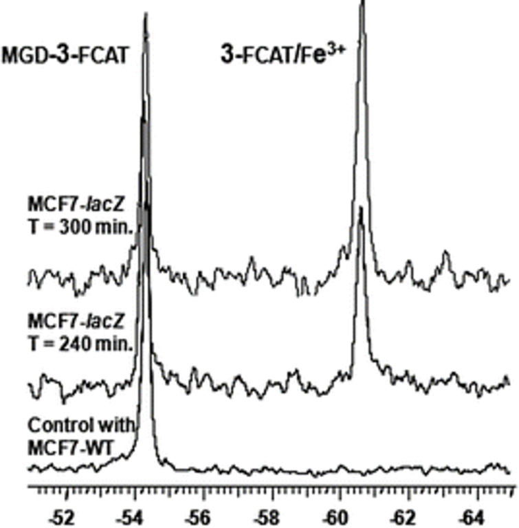 Figure 20